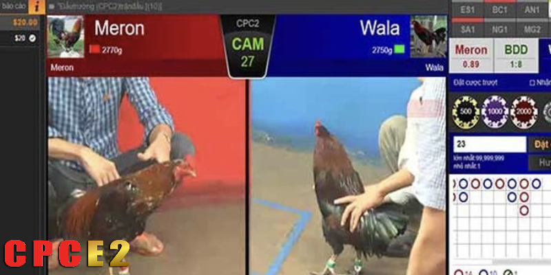 Hình ảnh sắc nét , không giật lag