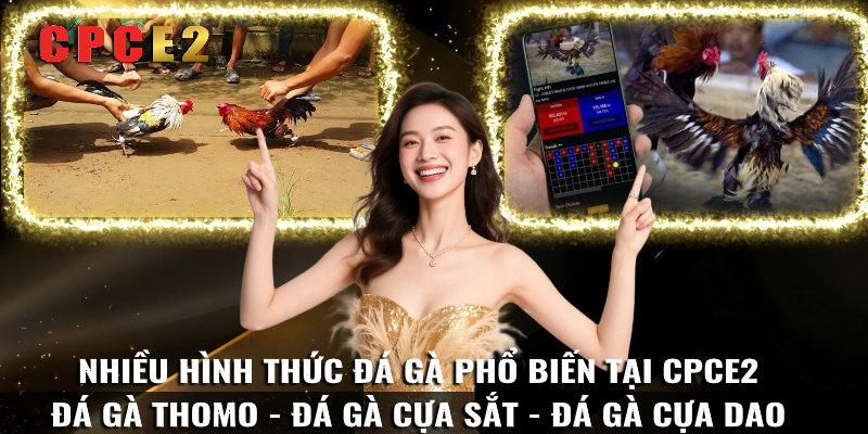 Các Hình Thức Đá Gà Phổ Biến Tại CPCE2