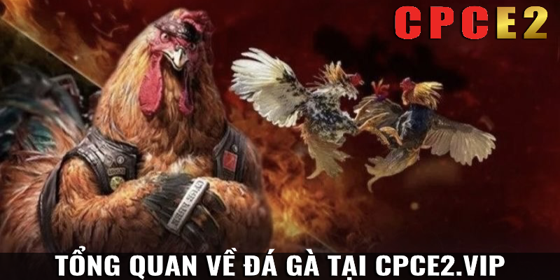 tổng quan nền tảng đá gà CPCE2.VIP