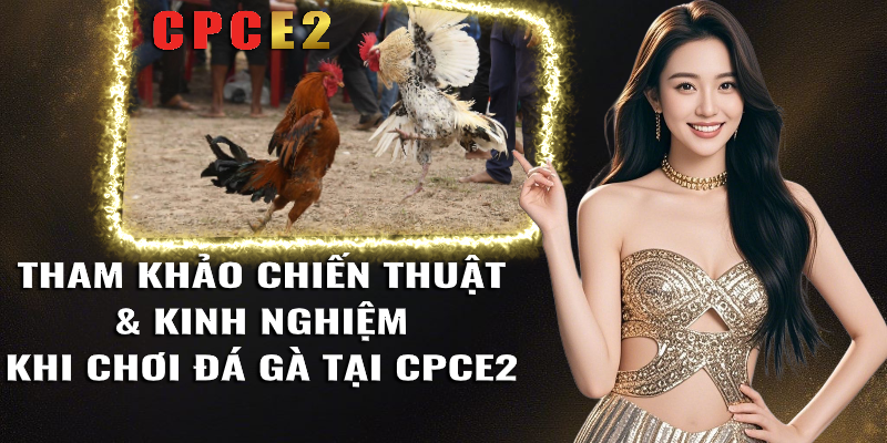 Theo Dõi và Chiến Thắng