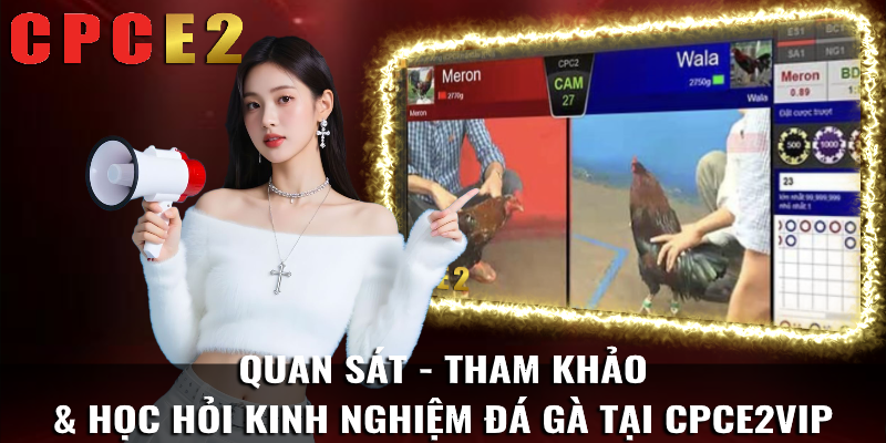 Phân tích cầu kèo cho anh em newbie